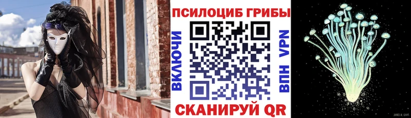Псилоцибиновые грибы Psilocybine cubensis Евпатория